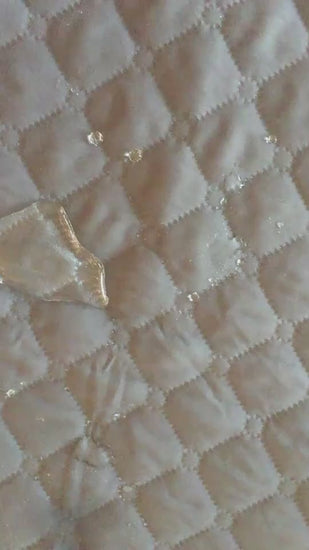 Furniture-Protecting Dog Sofa Bed video