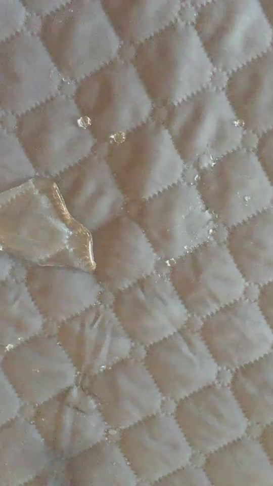 Furniture-Protecting Dog Sofa Bed video