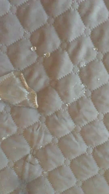 Furniture-Protecting Dog Sofa Bed video