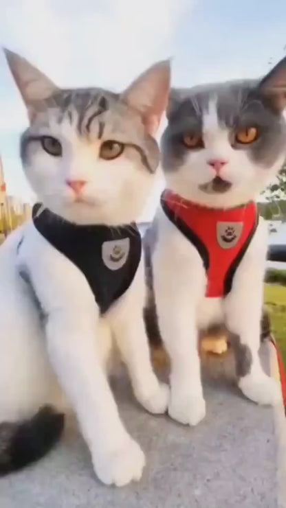 Escape-Proof Cat Harness video