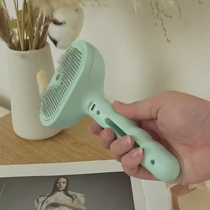 Mist Spray Grooming Comb video