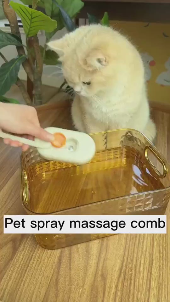 3-in-1 Steam Grooming Brush video