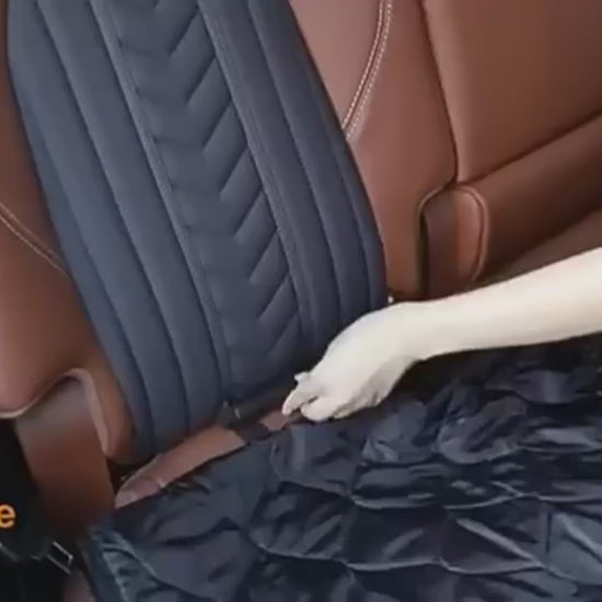 Car Seat Pet Cushion video