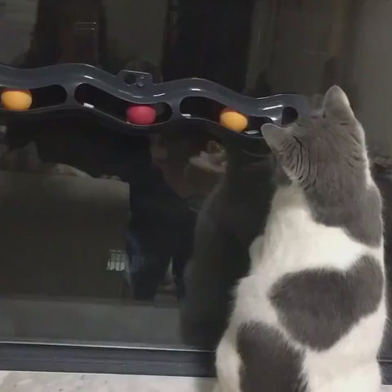Windowsill Cat Track Ball video