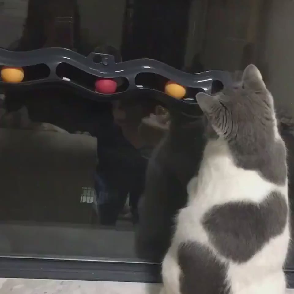 Windowsill Cat Track Ball video