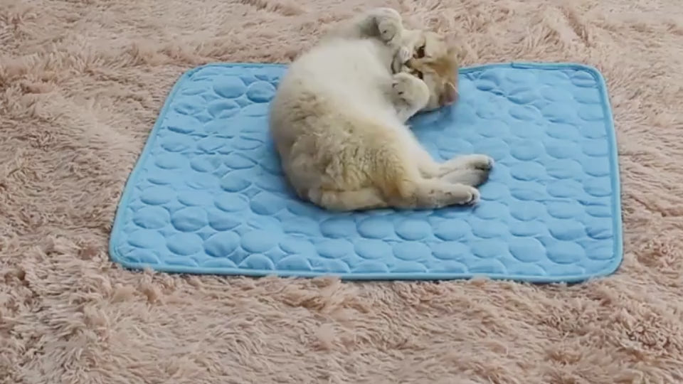 Ice Silk Cooling Pad video