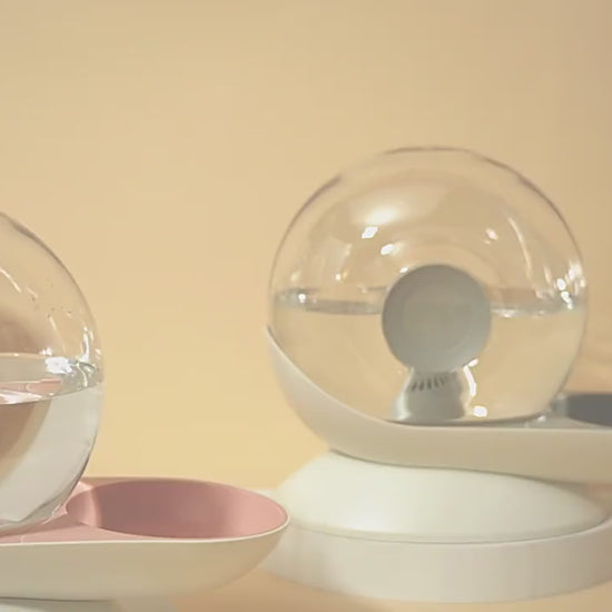 Snail Automatic Cat Water Fountain video