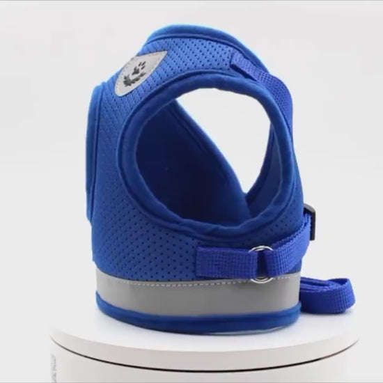 Breathable Mesh Harness & Leash Set video