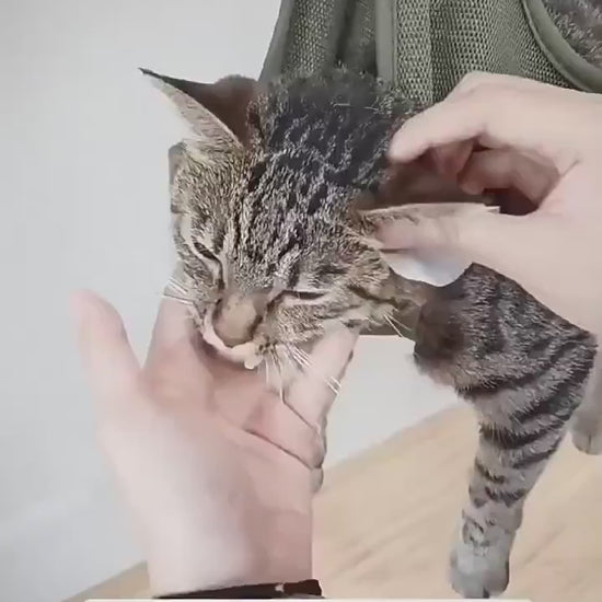 Grooming Restraint Hammock video